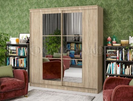 Шкаф-купе 1,7 Элегант 3  