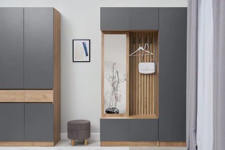 Прихожая Роджина, дуб крафт / графит 