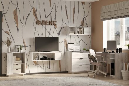 Модульная гостиная Флекс (Композиция 3) 